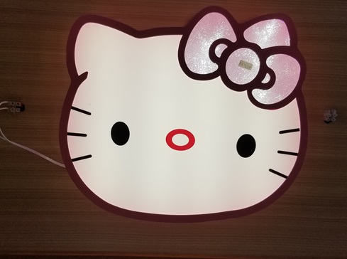 Cat-design ceiling light for kids